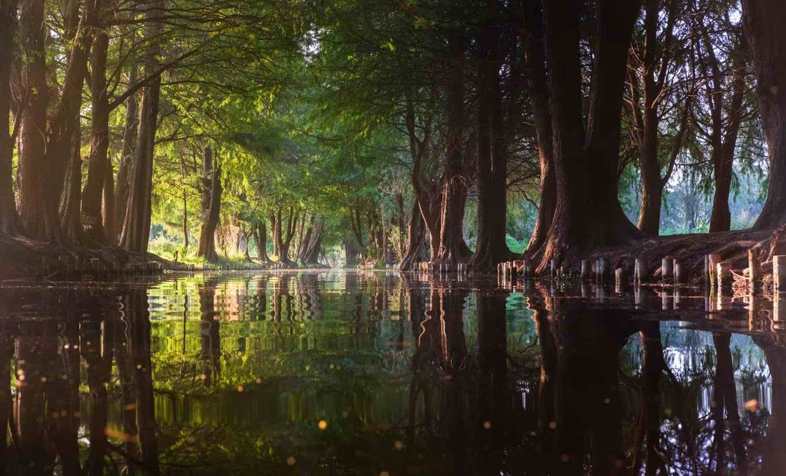 Rincones mágicos de Xochimilco atardecer-en-los-canales-de-xochimilco