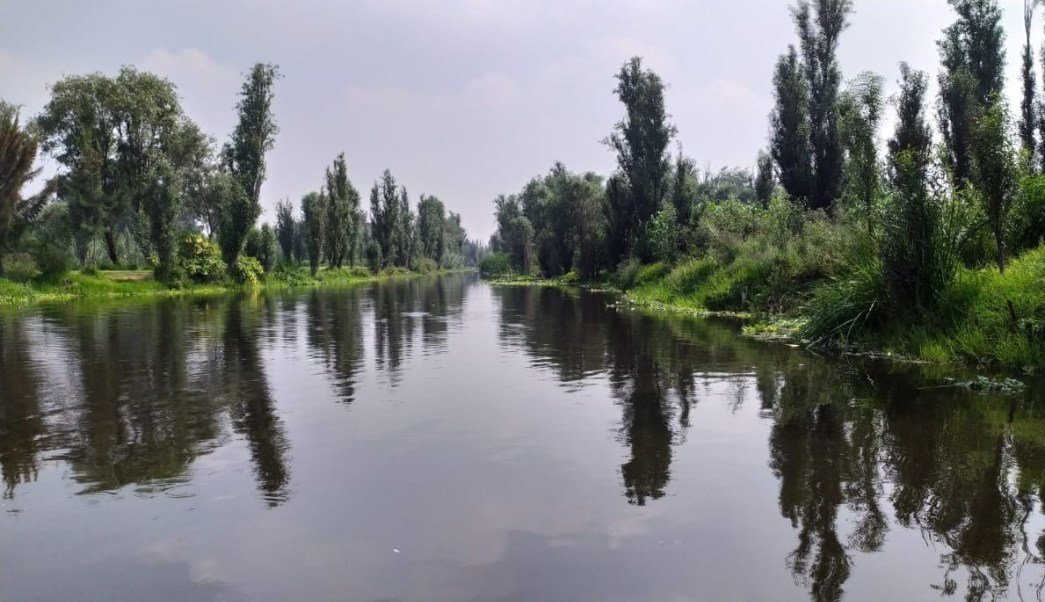Canales de Xochimilco canal-xochimilco