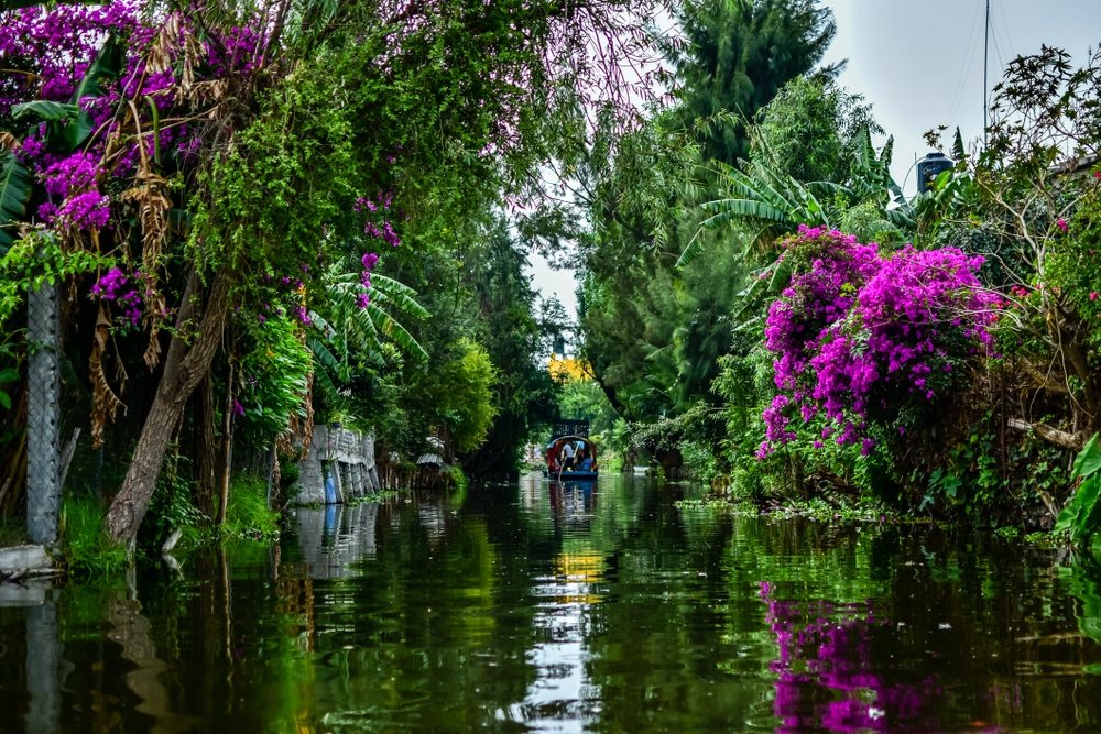 Chinampas que forman canales en Xochimilco canales-de-xochimilco