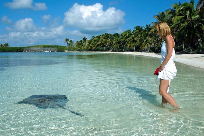 Fauna-marina-en-la-isla-contoy-quintana-roo